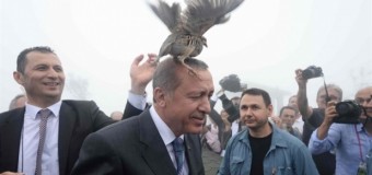 Erdoğan’ın başına talih kuşu kondu !