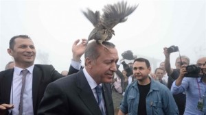 erdogan