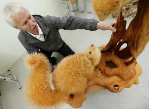 Artist Sergei Bobkov, 54, installs a sculpture of two life-sized martens made from cutting chips from the Siberian cedar at an exhibition of his works in a local school in the settlement of Kozhany, 207 km (129 miles) southwest of Krasnoyarsk, September 5, 2011. Bobkov, who received a patent on manufacturing art sculptures made of cutting chips, spent eight months creating the two martens, using about 150 thousand pieces of Siberian cedar. He has made a total of 15 life-size wooden sculptures of Siberian birds and animals. REUTERS/Ilya Naymushin (RUSSIA - Tags: SOCIETY TPX IMAGES OF THE DAY)